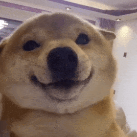 活动抢先看蓝桥神灯闪耀英伦传奇切赫铸就坚城