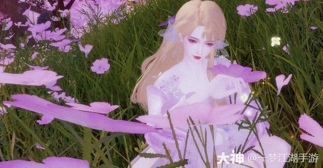 少侠身着粉染的"宸耀荧煌",徜徉在南海的粉色花海,若不是我李小四得见