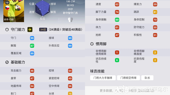 曼努埃尔诺伊尔 鬼影擒拿手大家好，这里是pes10萨乌尔！