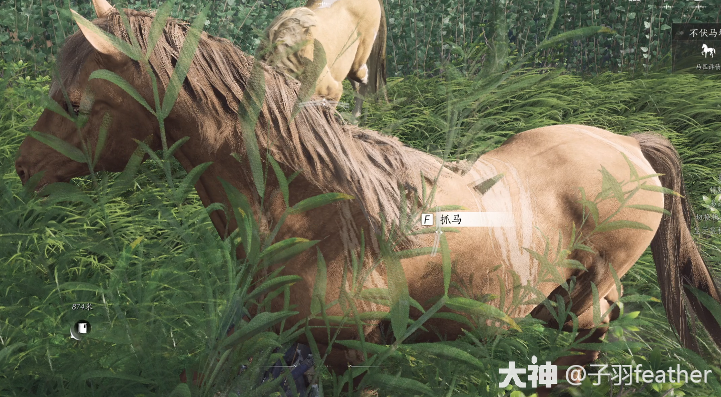 驯服马匹】抓马方法和马的属性及评分_燕云十六声 | 大神