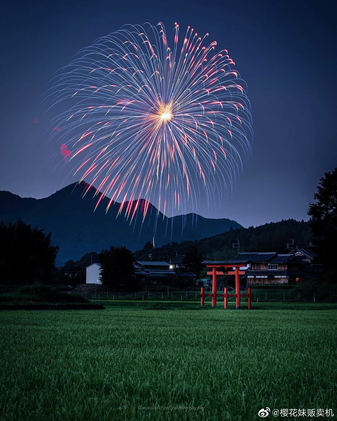 分享一颗看起来有点孤独的花火ins Wasabitool 来自大神圈子 路上遇到爱豆