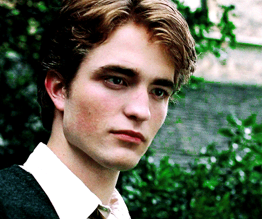 在《哈利·波特》和《暮光之城》里看到罗伯特·帕丁森:我觉得也就还