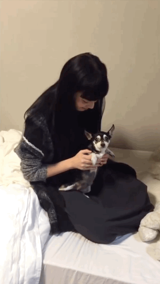这个角度太让人脸红了 四舍五入小松菜奈已经是我女朋友了 来自网易大神圈子 路上遇到爱豆 这个角度太让人脸红了 四舍五入小松菜奈已经是我女朋友了 来自网易大神圈子 路上遇到爱豆