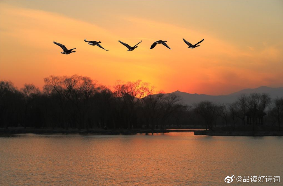 白露天始冷,鸿雁南飞去.