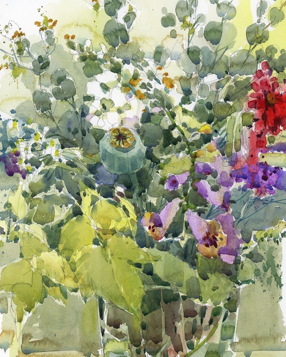 将水彩的透明性体现的淋漓尽! shari blaukopf