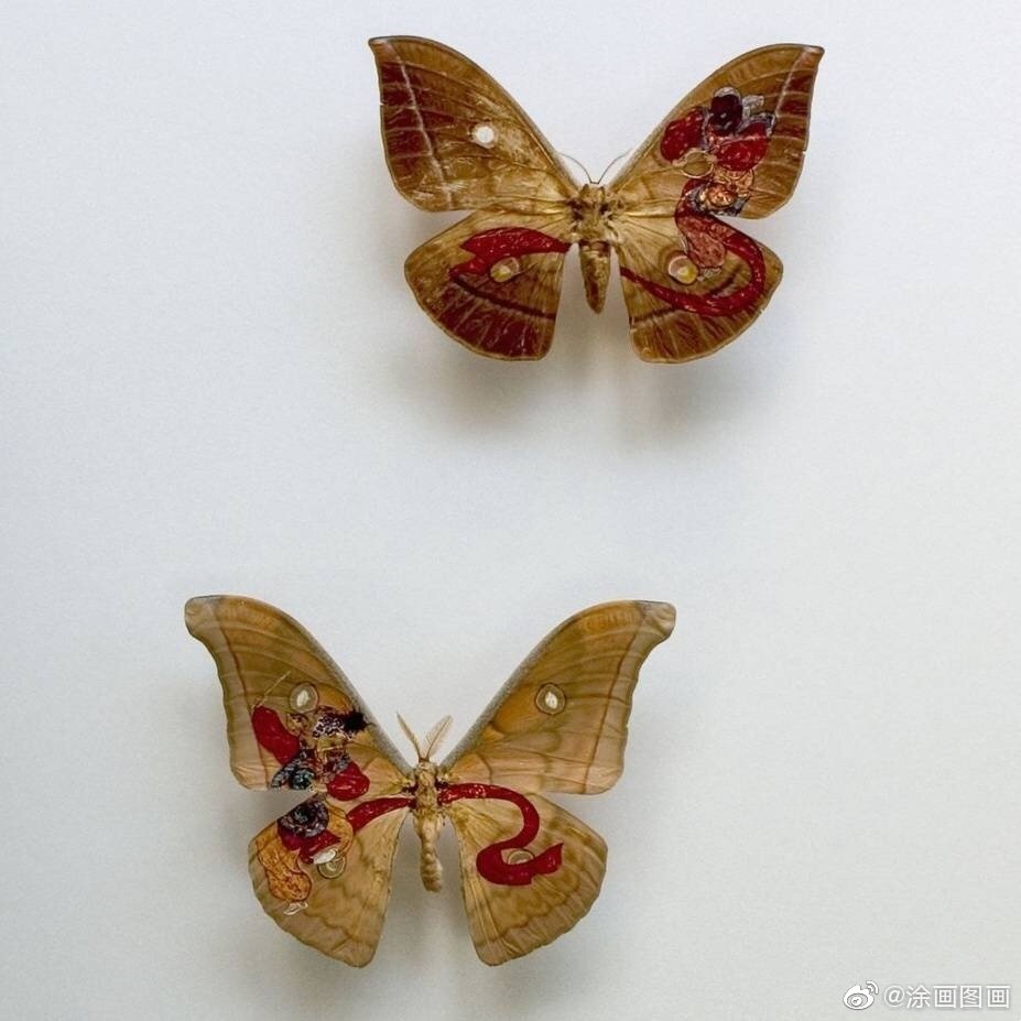 樋口明宏的羽虫绘 来自网易大神圈子 秦又卿