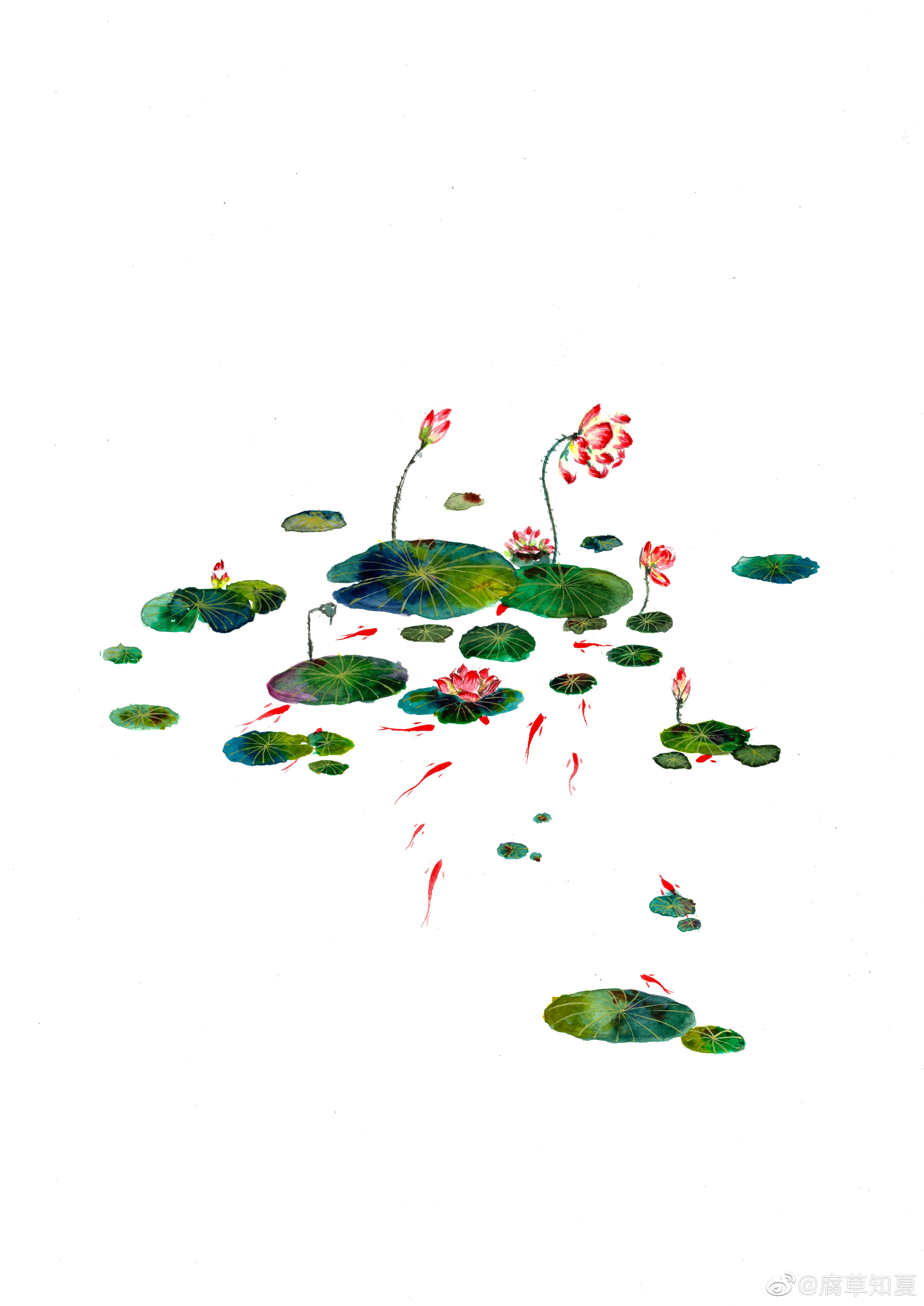 禅意古风 腐草知夏