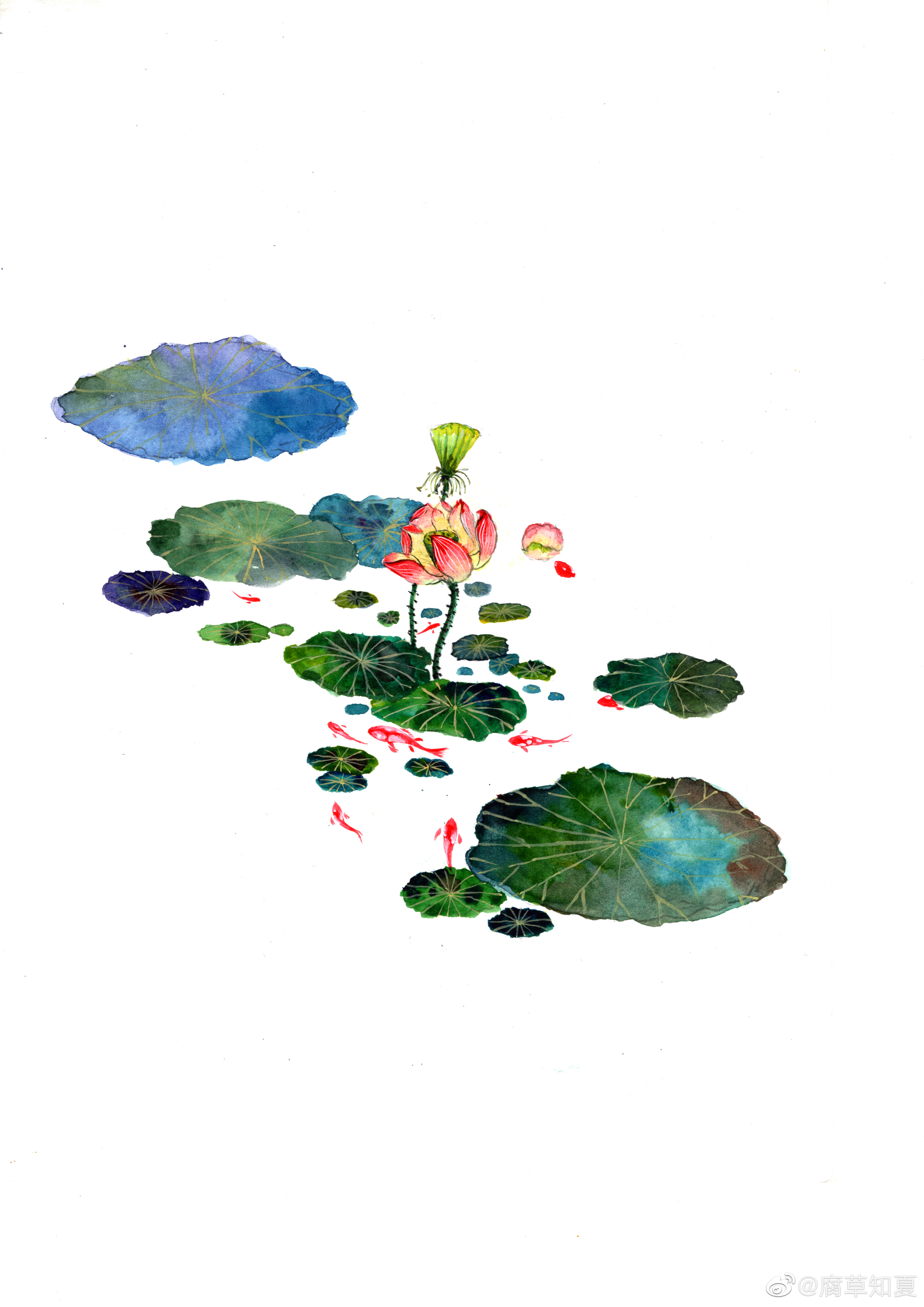 禅意古风 腐草知夏