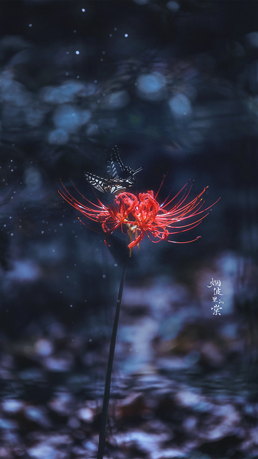 忘川河畔,彼岸之花.情不为因果,缘注定生死.