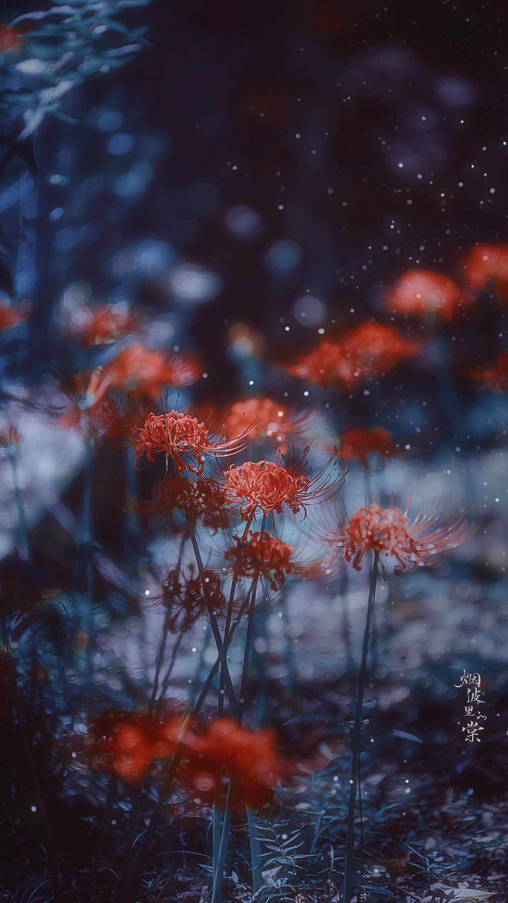 忘川河畔,彼岸之花.情不为因果,缘注定生死.