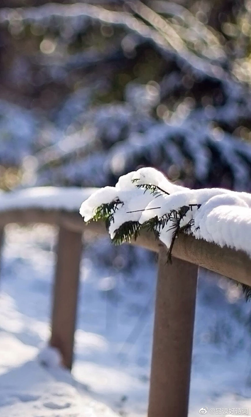 四时词 冬唐 刘淑颐烟生密竹早归鸦 向镜轻匀衬脸霞 迟日未能消野雪 故穿庭 来自网易大神圈子 诗词阁