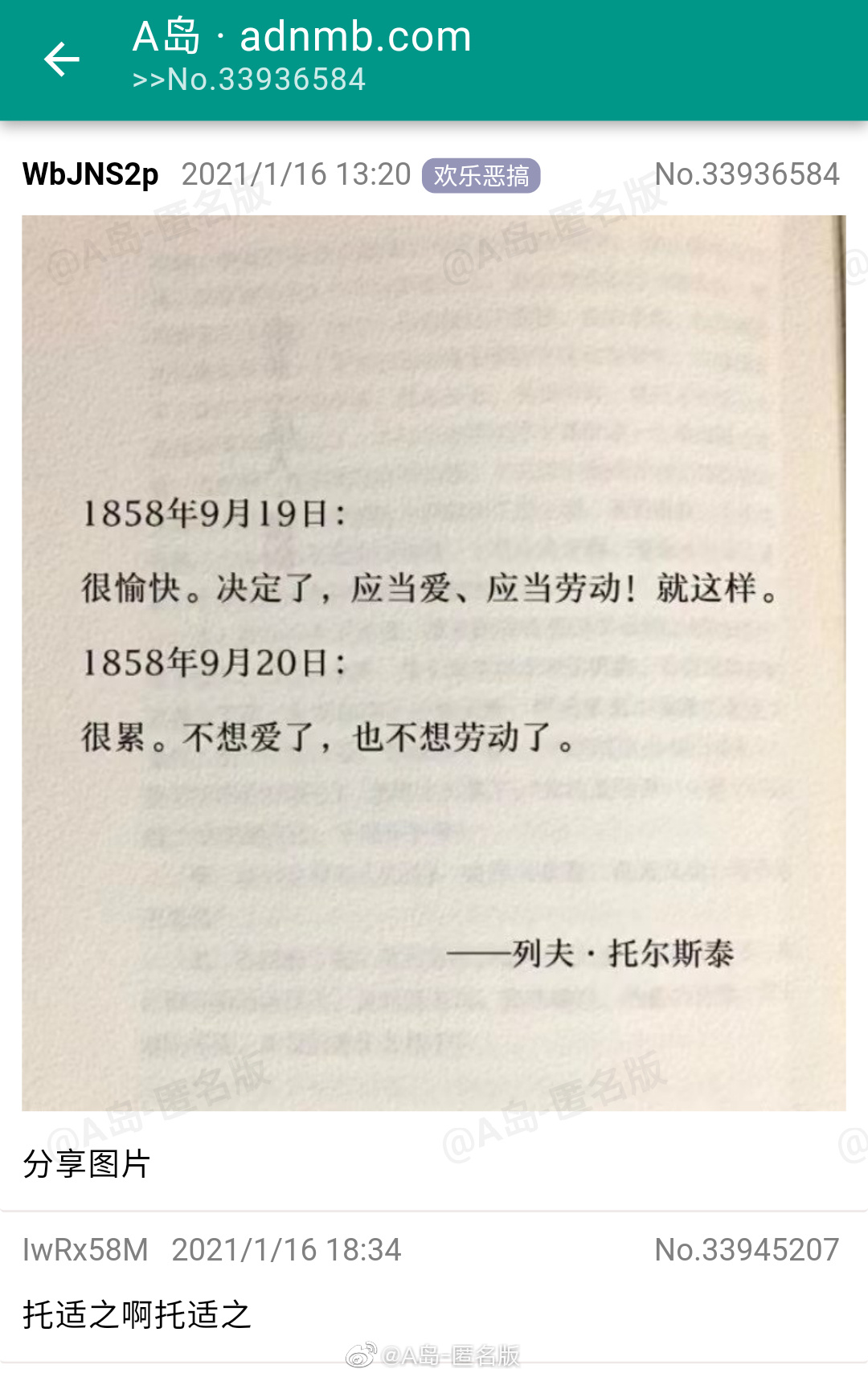 好累喔摸了摸了( 19 319)_来自网易大神圈子_a岛匿名版