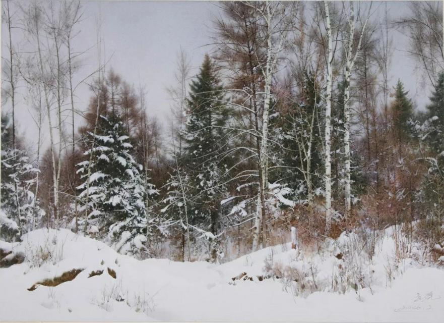 中国水彩大师,陶世虎