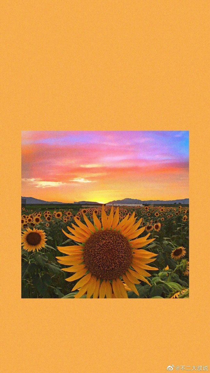 向日葵有个很好的花语 入目无他人 四下皆是你 有你时你是太阳我目不转睛 无你时我 来自网易大神圈子 元气少女郭德纲