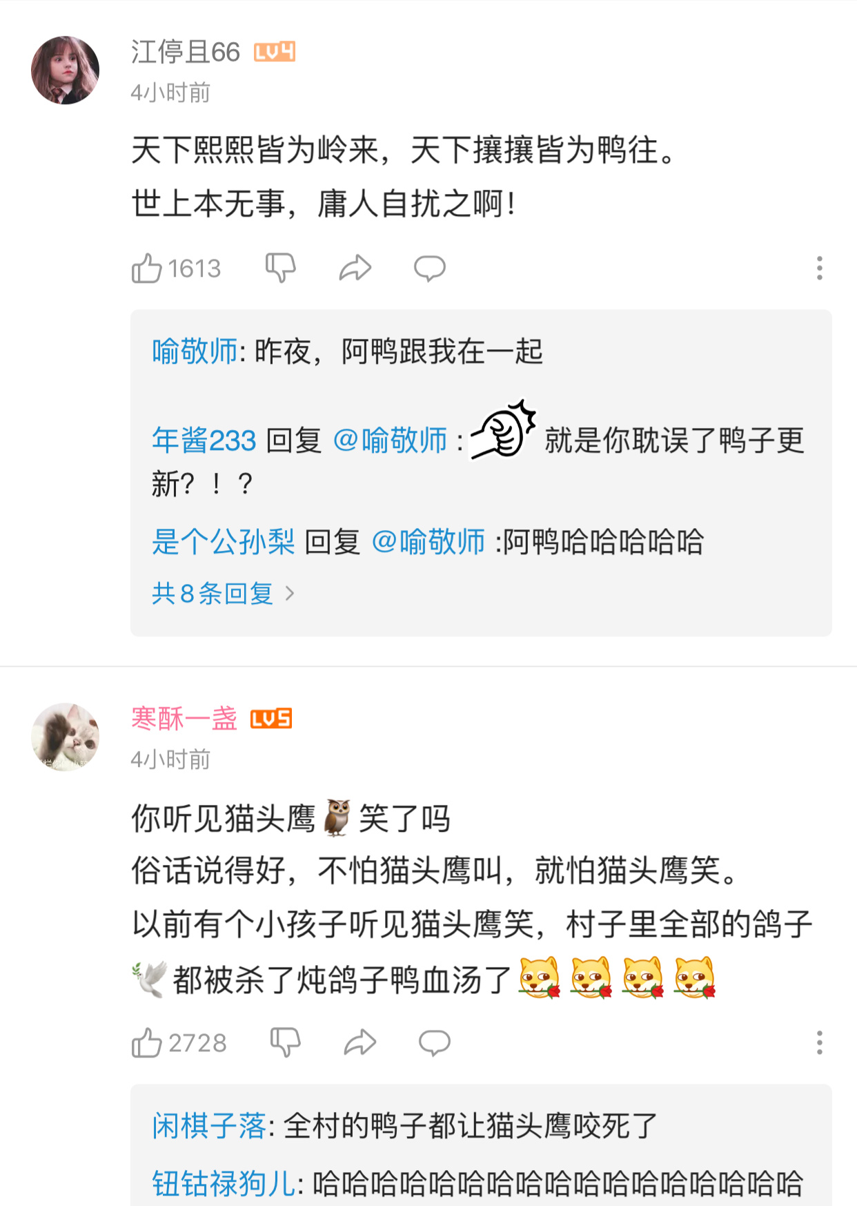 b站up主路温评论区大型岭学现场