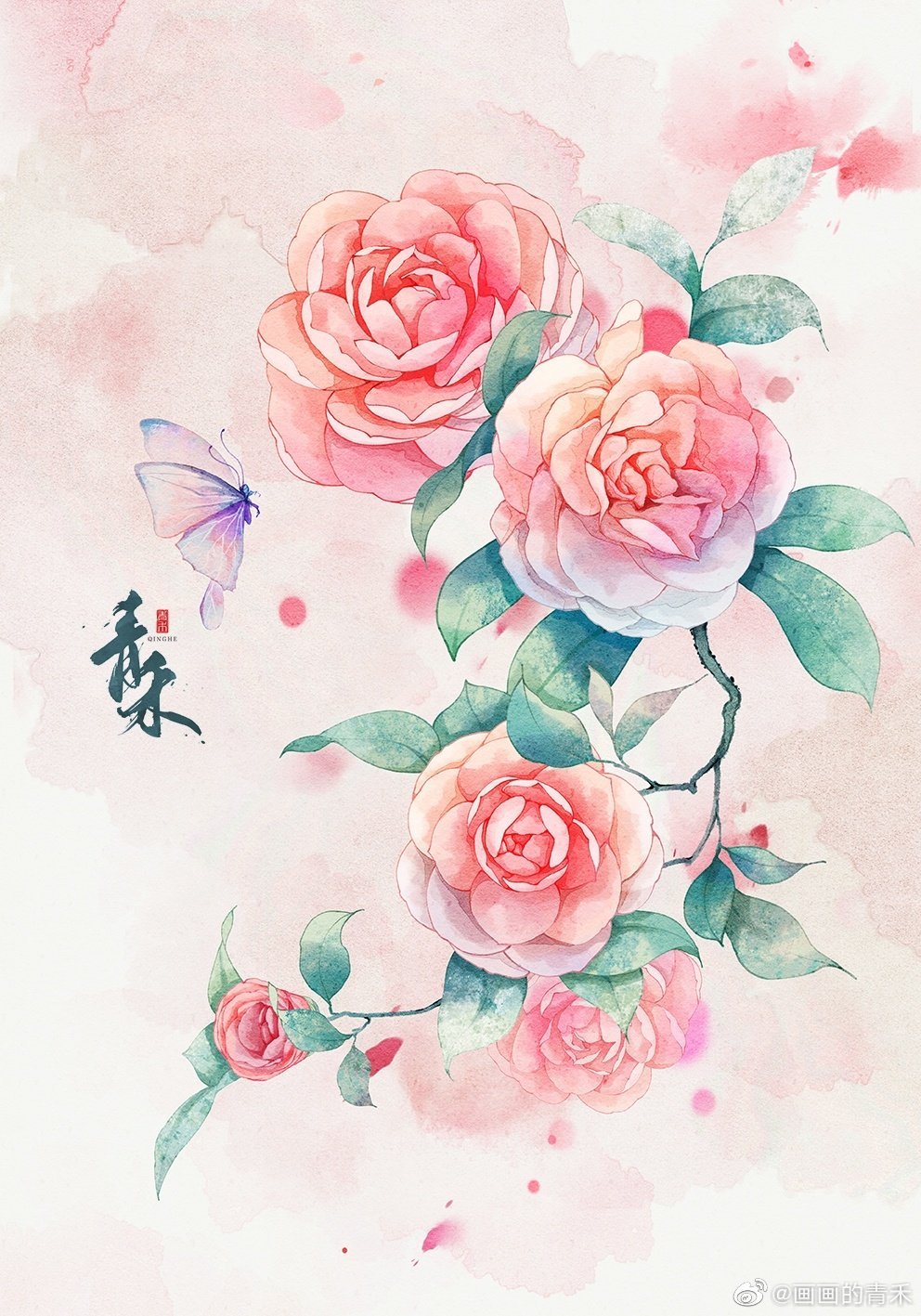 花卉 画师 画画的青禾