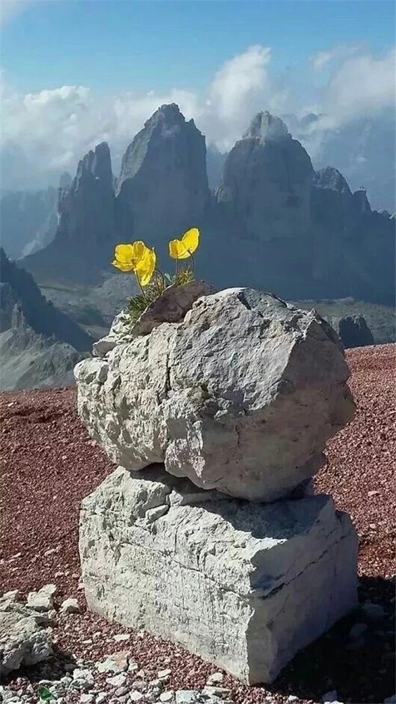绝处逢生,否极泰来.
