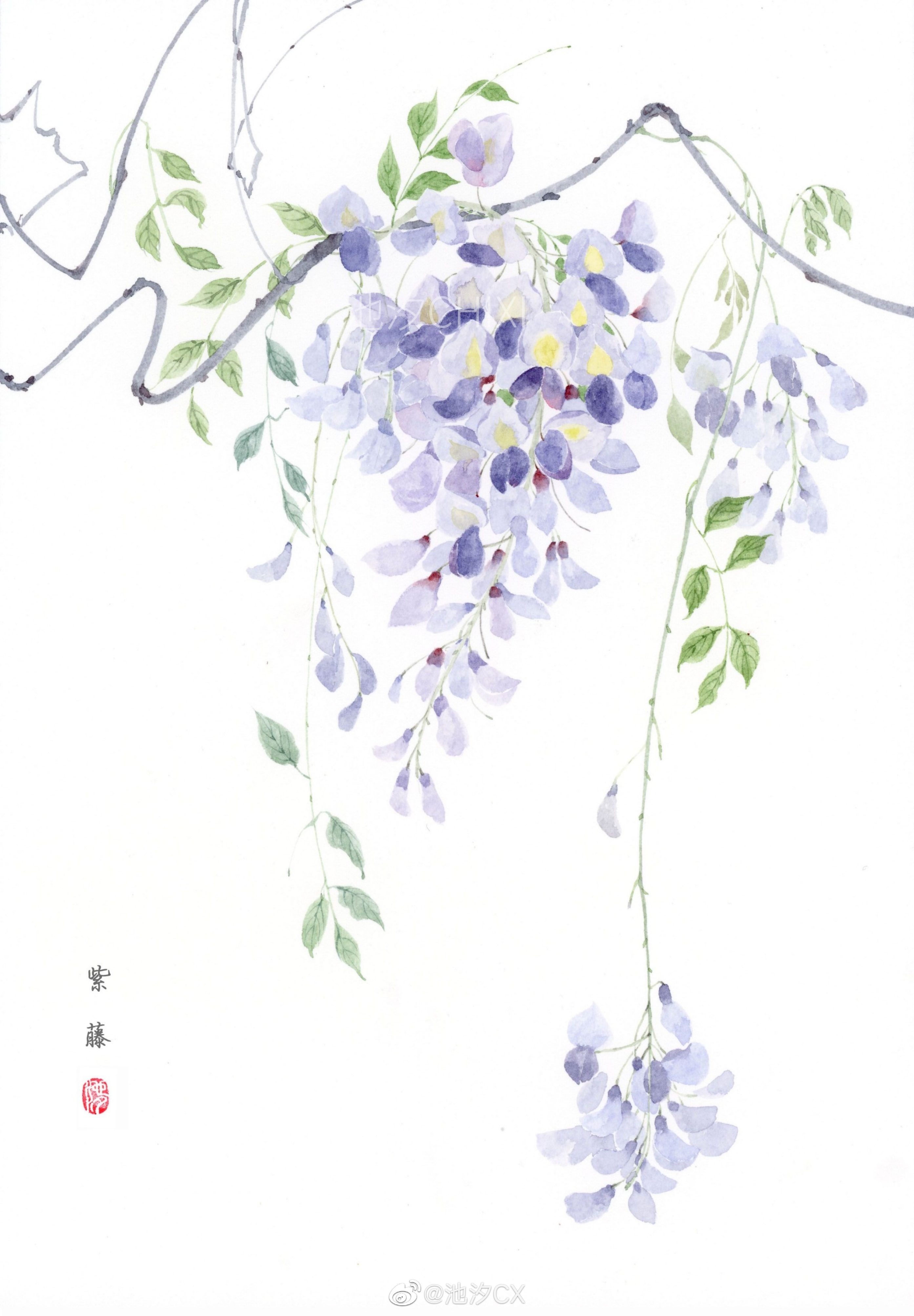 花卉 画师 池汐cx