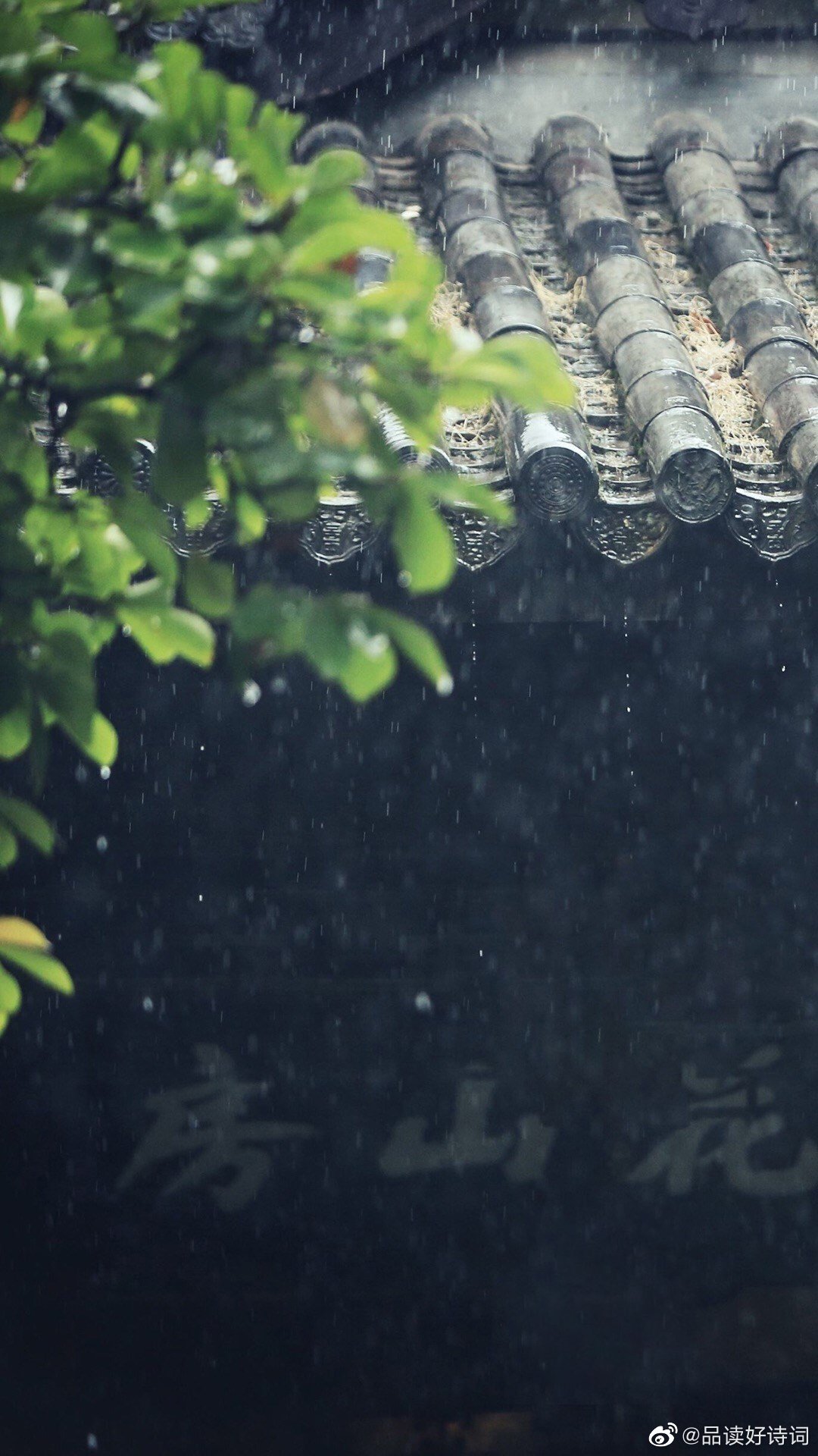 泛兰舟-自嘲 文/杨云 阴雨连绵天气,倚窗无端恼.