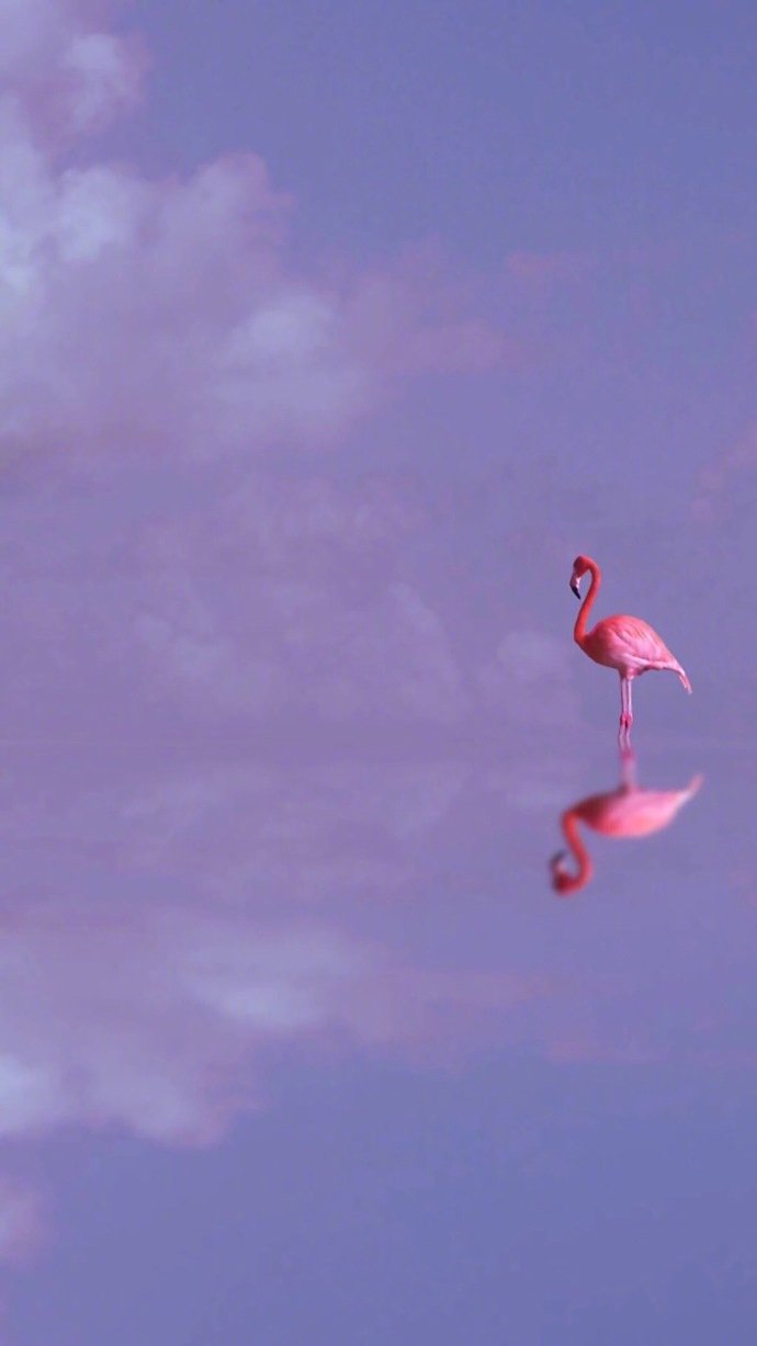 光鲜亮丽的背后, 定是脚踏实地的付出.