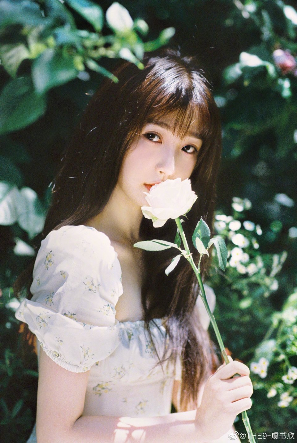 好漂亮好青春我们欣欣,一瞬间像在看少女言情杂志封面