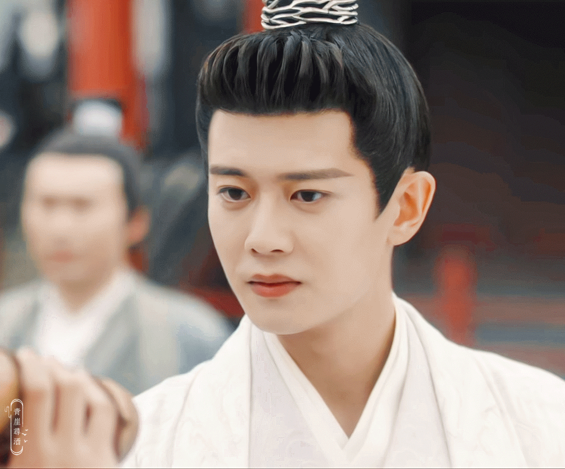 我们南辰王,从西州到了南萧,也是最俊俏的公子