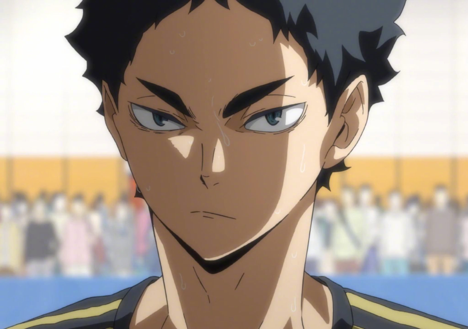 週間売れ筋 赤葦京治 おもちゃ ぬいぐるみ Whatisagpo Com