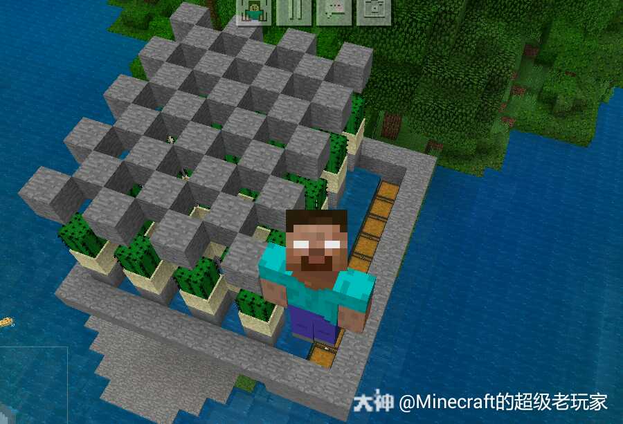 不知道这个刷仙人掌机效率高不高 来自网易大神圈子 Minecraft的超级老玩家